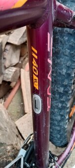 Scott scale 40 - 5