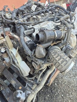 Nissan YD25 2.5 dCi / 2.5 TDI  Pathfinder  Navara - 5