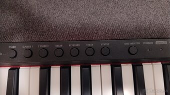 Casio keyboard - 5