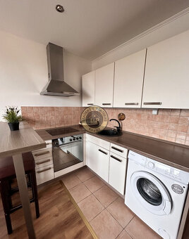 Na prenájom garsónka po rekonštrukcii v Senici - 5