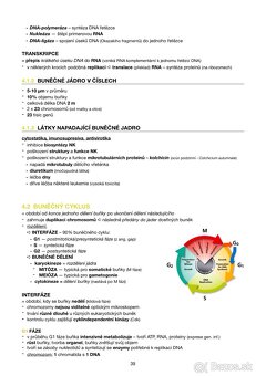 Maturita / prijmacky biologia CZ - 5