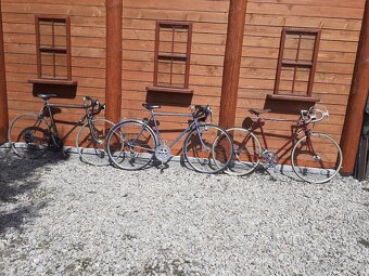 Bicykel Favorit - 5