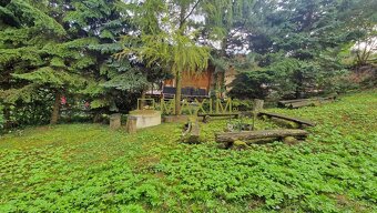 Ponúkame na predaj záhradu s možnosťou výstavby v Trstíne ča - 5