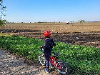 Detský bicykel YEDOO Pidapi 16 alu – červený - 5