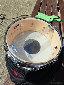 Snare Pdp By Dw Concept Maple 14x5.5 - 5