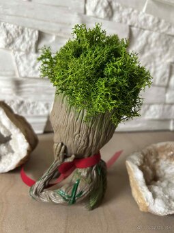 Groot so stabilizovaným machom - 5