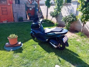Honda pcx 125, r 2023 - 5