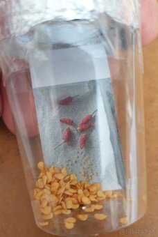 Extra štipľavé chilli - 5