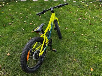 Detsky bicykel Scott Roxter 20 - 5