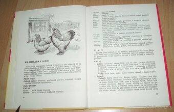 Plemená drubeže – Príručka pro chovatele drubeže, časť III - 5