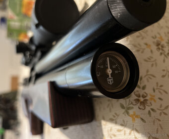 Taipan Veteran cal.22 - 5