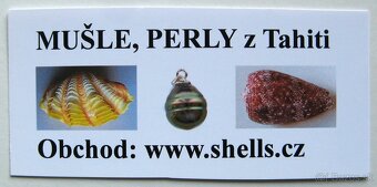 Vzácný mořský ježek - 5