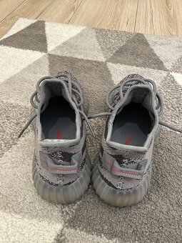 Adidas Yeezy 350 - 5