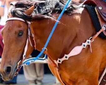 Predám pár vecí - 5