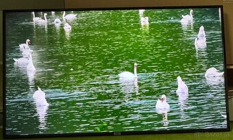 Predám TCL 65DP600 65” 4K ULTRA HD - 5