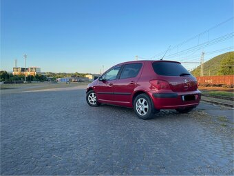 Peugeot 307 - 5