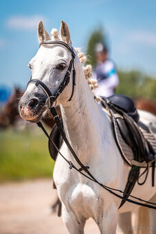 Pony do sportu i pro děti - 5