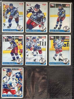 APS karty hokej 95/96 - 5