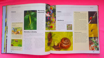 Labužníkova záhrada. - 5