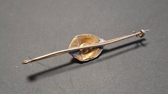 smutocna brosna - 5