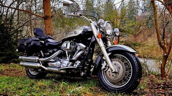 YAMAHA XV 1600 WILD STAR - 5