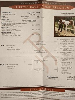 Valach na predaj - 5