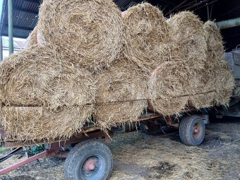 Predam slamu lisovanu-balikovanu a moznym dovozom. - 5