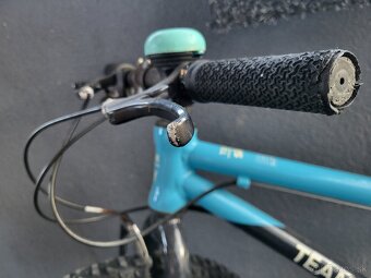 Detský bicykel Team Sky Frog 52 - 5