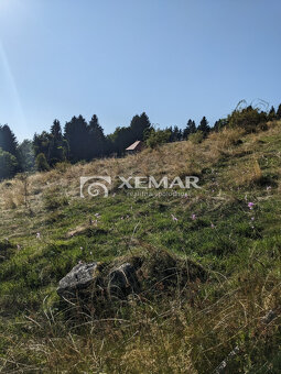 Na predaj pozemok v Hriňovej - 5