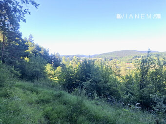 IBA U NÁS Pozemok 1,8 ha na okraji Púchova, Vieska-Bezdedov - 5