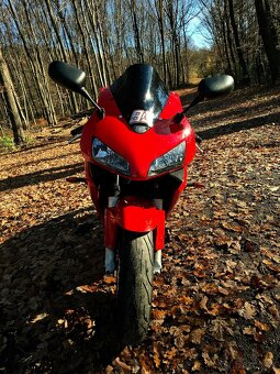 Honda cbr 600rr - 5