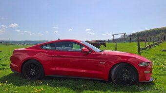 Ford Mustang GT 5.0 V8 - 5