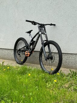 Kellys noid 70 - 5