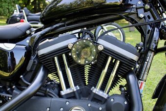 Harley Davidson Iron 883 Sportster - 5