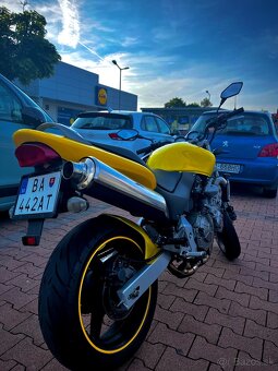 Predam Honda CB600F Hornet - 5