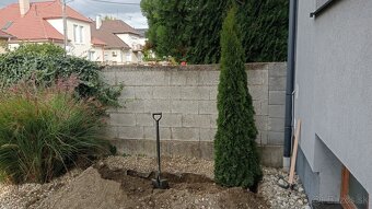 Tuja Smaragd, vavrínovec, červienka, gaštan - Prešov - 5