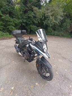 Suzuki v strom - 5