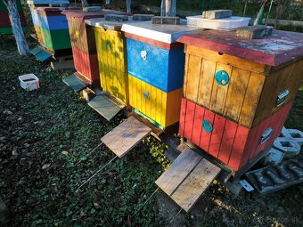 Včelstvo, včely, kompletné príslušenstvo včelára - 5