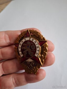 Odznak Vzorný ženista - 5