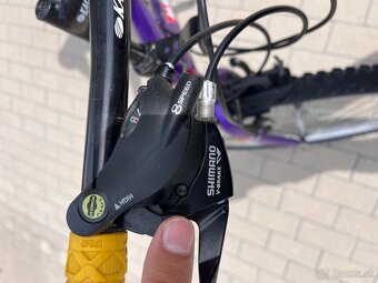 Damsky bicykel - 5