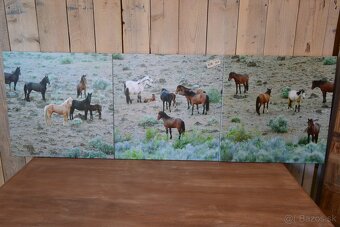 dekoracne obrazy - 5