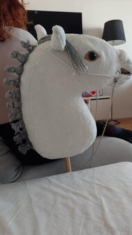 Hobby horse - 5