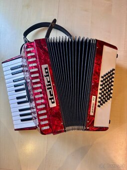 Delicia Junior 22 - 5