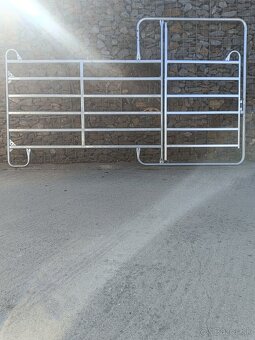 Texas panely - 5