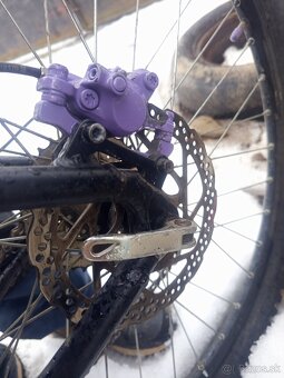 Vedora Camouflage 2019 - 5