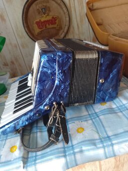 Harmonika Delicia - 5