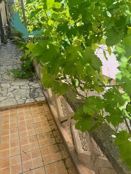 Exkluzívne na predaj domček len 100m od mora jedinečná ivest - 5