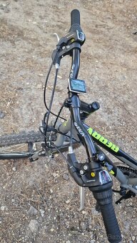 CTM 24" BERRY 1.0 HORSKY JUNIORSKY BICYKEL - 5