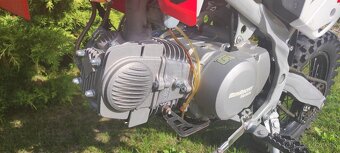 Pitbike WPB Race 140 - 5