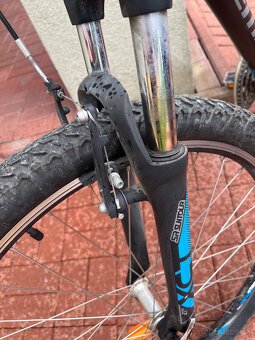 Bicykel Dema pánsky - 5